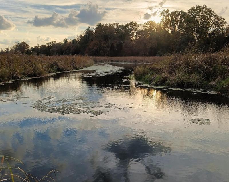 Request River Upstream - 19Oct25.jpg