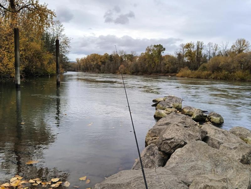 Willamette River - Corvallis, OR 14Nov25.jpg
