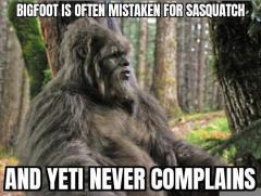 bigfoot.jpg