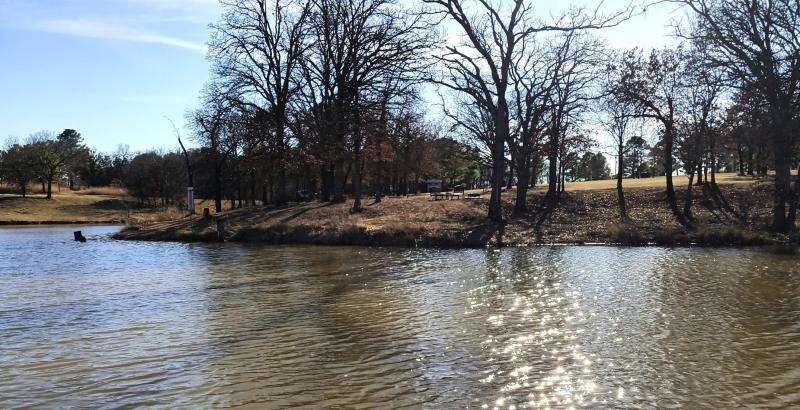 Turtle Pond 1 - 23Feb26.jpg