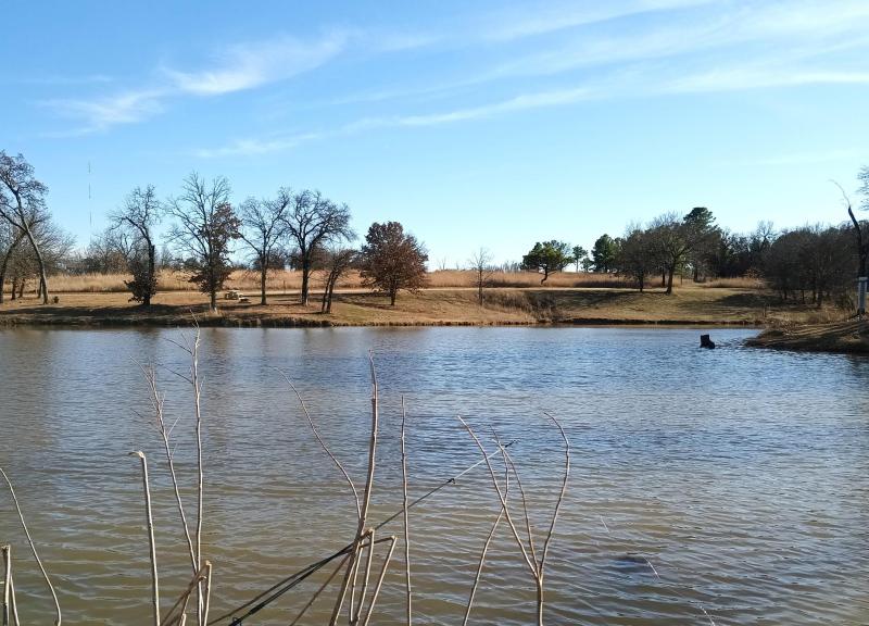 Turtle Pond 2 - 23Feb26.jpg