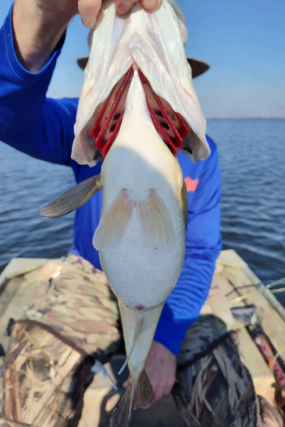 Background building .png