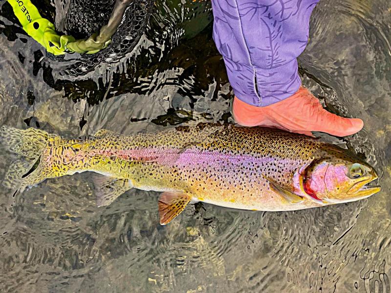 5-10-26c.jpeg