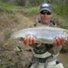 Bighorn Flies